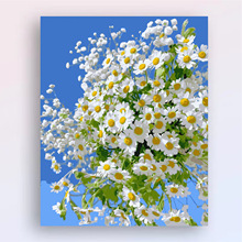 卡通人物动画的制作 从概念到屏幕的奇妙旅程